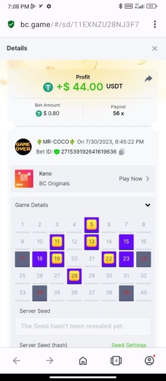 Screenshot_2023-07-30-19-08-39-850_com.opera.browser.jpg